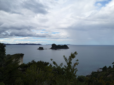 IMG_20200311_153817.jpg